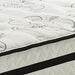 Socalle Bed and Mattress Set - Great Lake Furnishings  (MI)