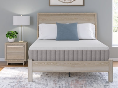Terra Sleep Firm Mattress - Great Lake Furnishings  (MI)