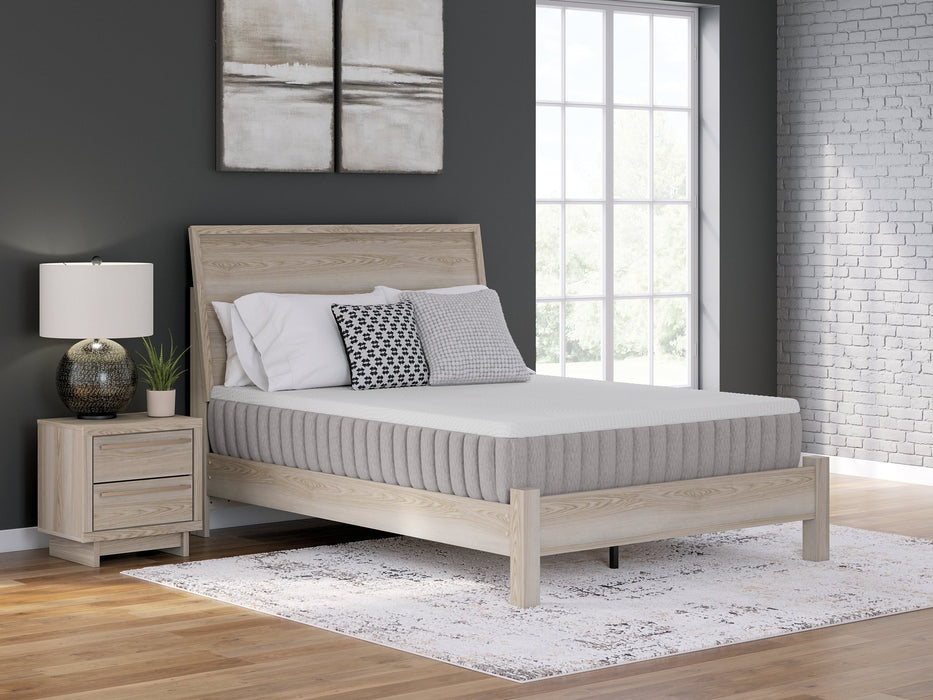 Terra Sleep Medium Mattress