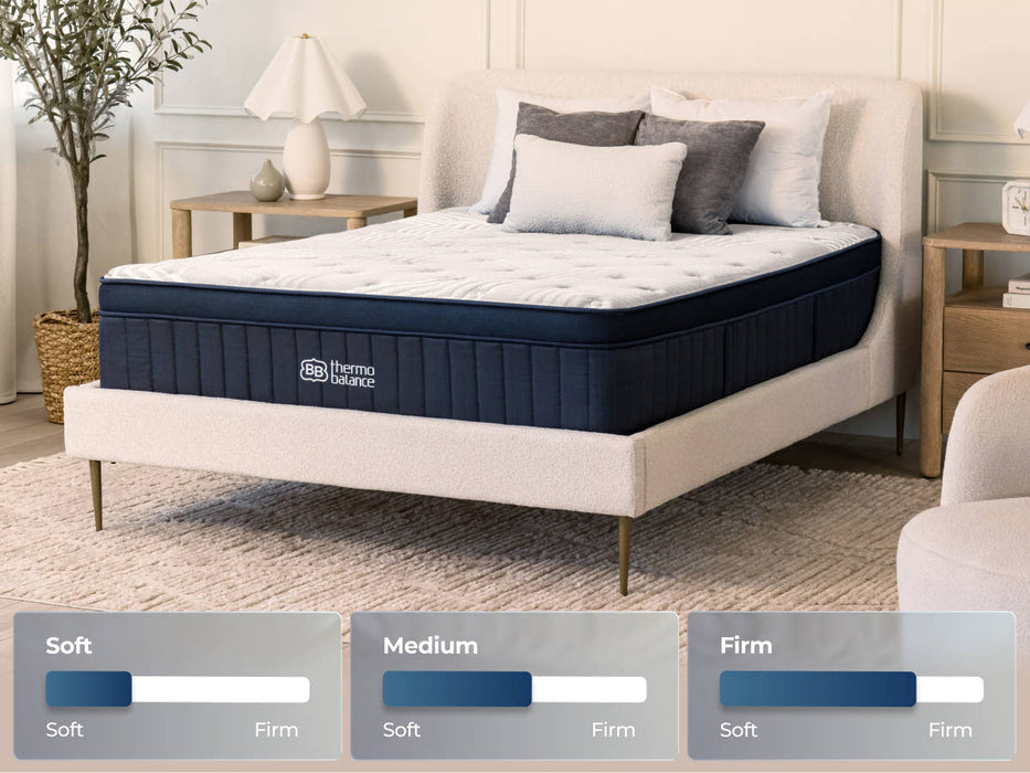 ThermoBalance LX